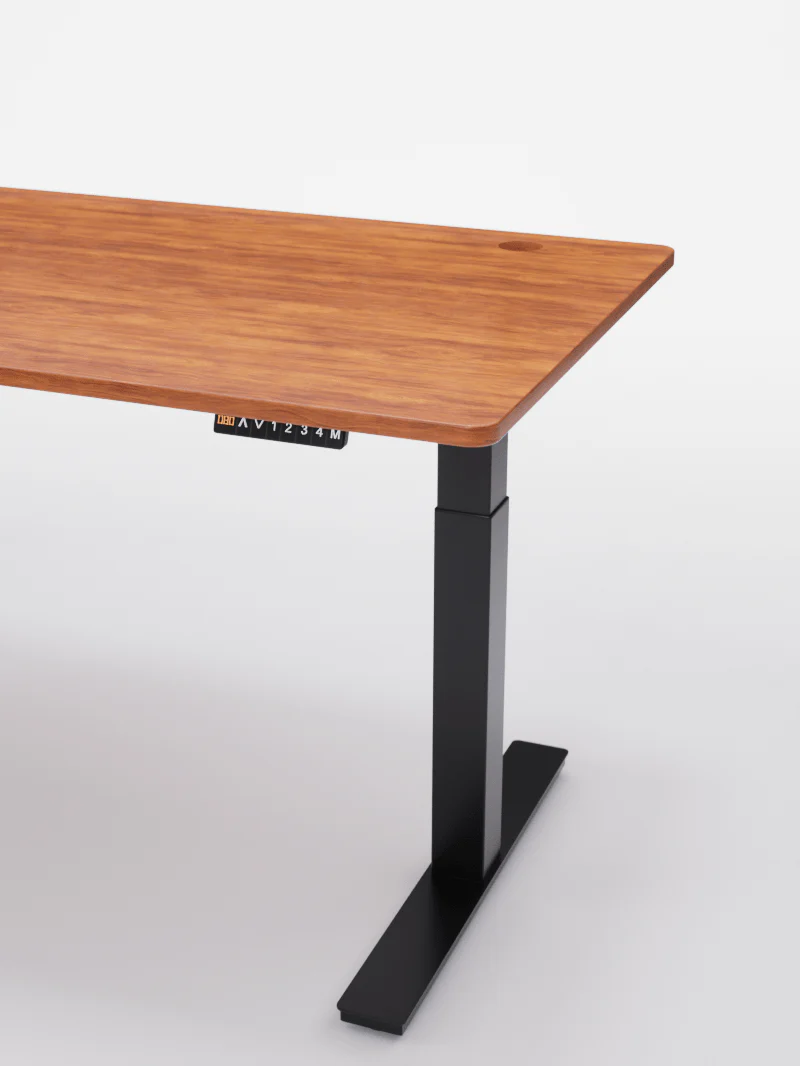 Advanced - Plateau Premium Oak | Bureau Assis Debout Électrique en Chêne Massif - Image 9