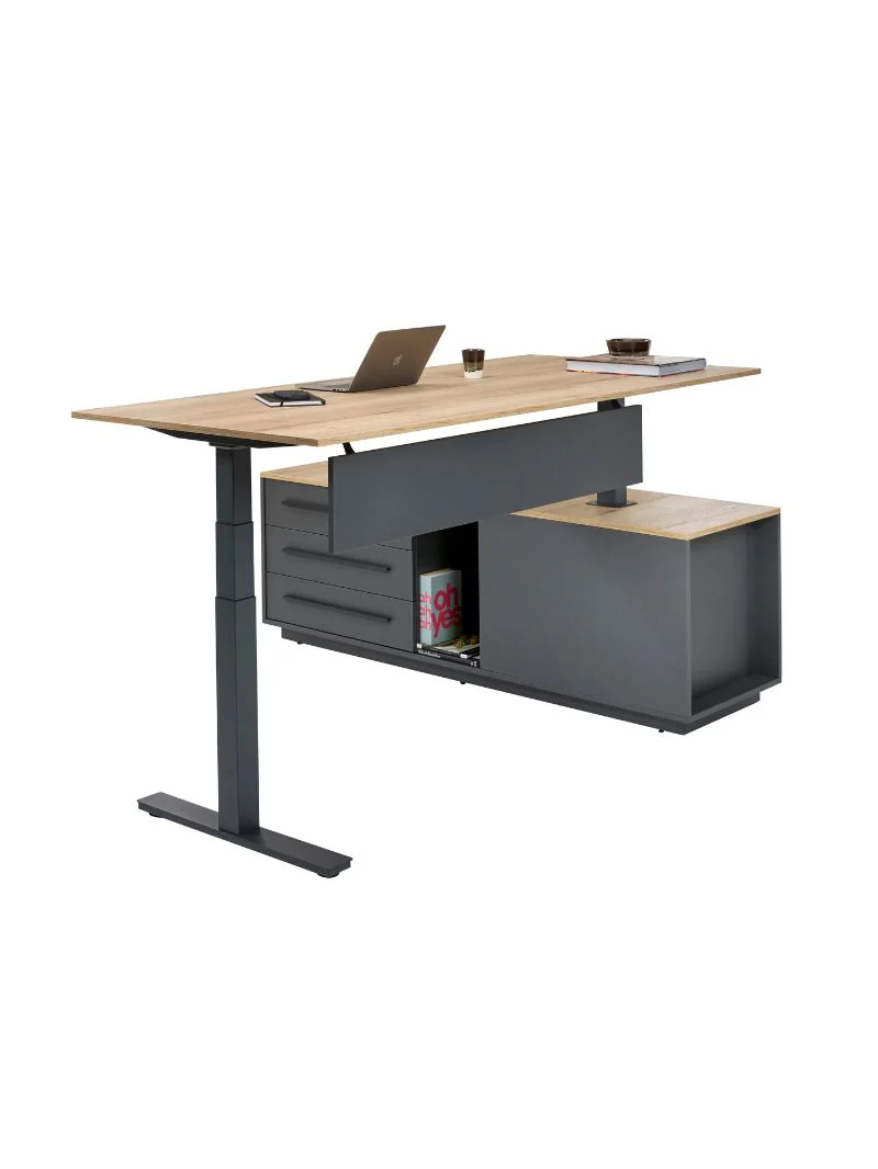 Bureau de Direction Assis Debout Électrique | Prestige - Image 6