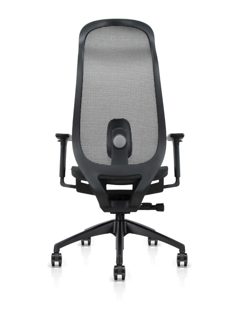 Chaise de Bureau Ergonomique | Lineo - Image 12