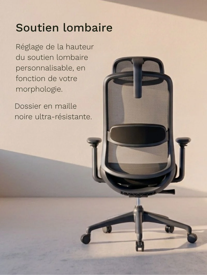 Chaise de Bureau Ergonomique | Modulo 1 - Image 3