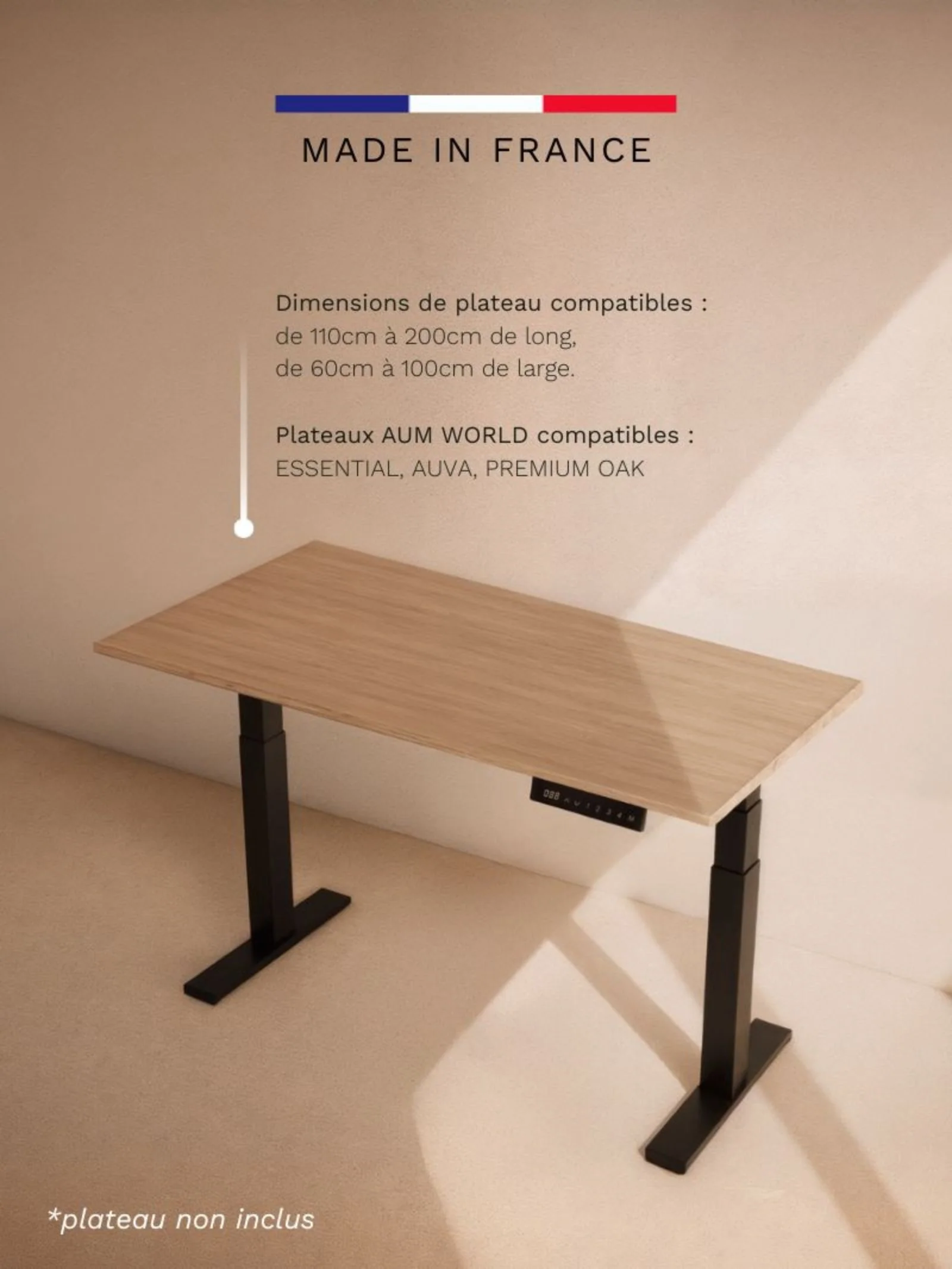 Advanced | Pieds de Bureau Électrique Réglable en Hauteur - Image 5